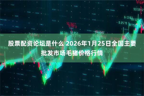 股票配资论坛是什么 2026年1月25日全国主要批发市场毛猪价格行情